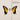 PARAMORE - BRAND NEW EYES VINYL