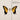 PARAMORE - BRAND NEW EYES VINYL